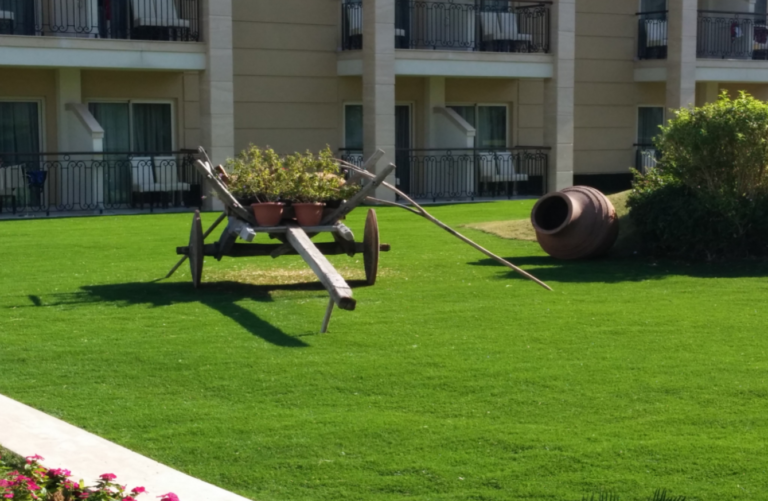 Başakşehir çim hal