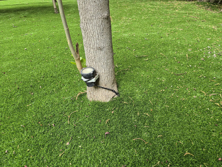İzmir Yapay Çim Halı